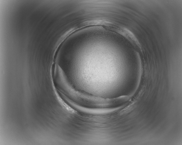 X0000070230946200605261340
