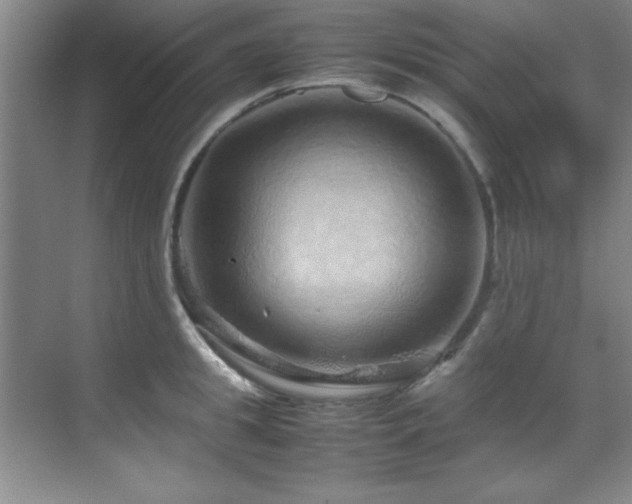 X0000070230949200605261340