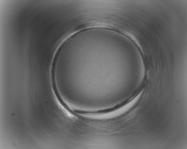 X0000070230995200605261339