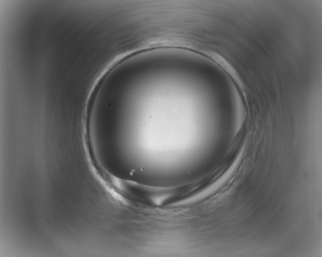 X0000070231005200605261339