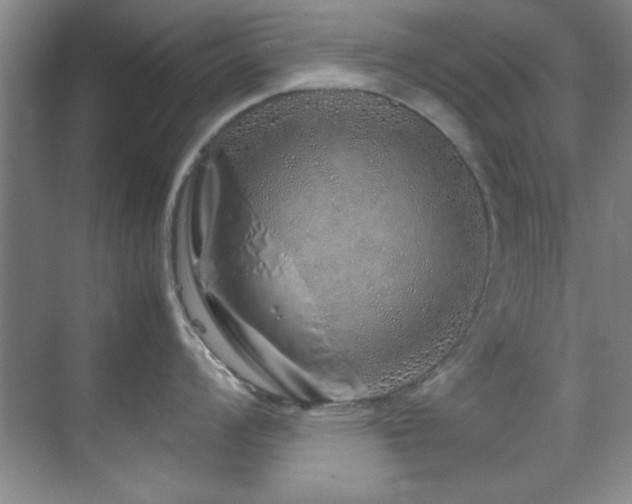 X0000070231008200605261339
