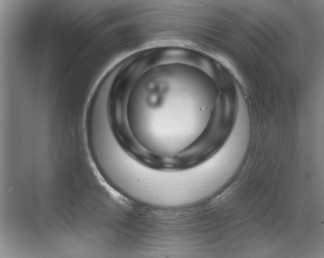 X0000070231046200605261339