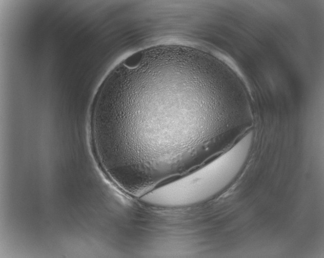 X0000070231048200605261339