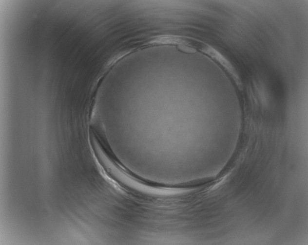 X0000070231049200605261339