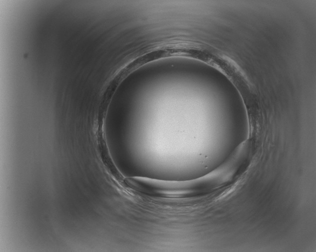 X0000070231065200605261338
