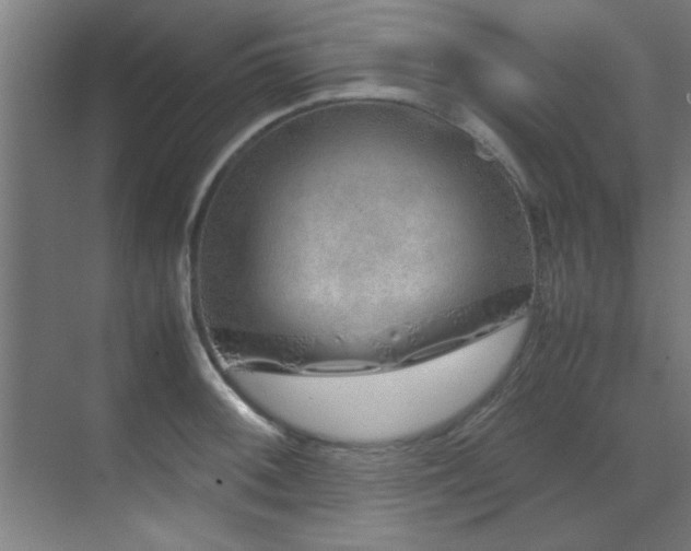 X0000070231092200605261337