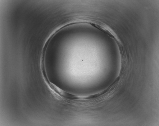 X0000070231101200605261337