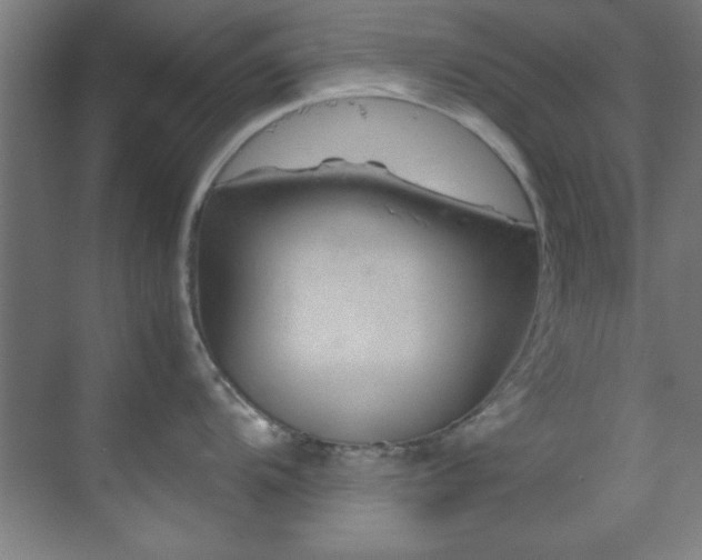 X0000070231104200605261337