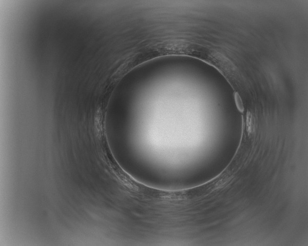 X0000070231107200605261336