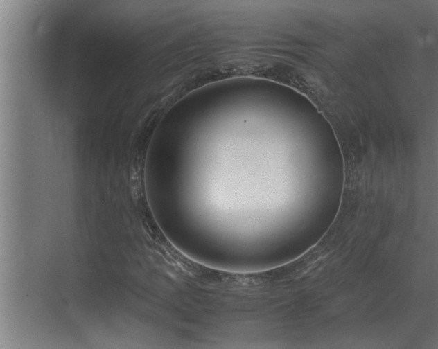 X0000070231109200605261336