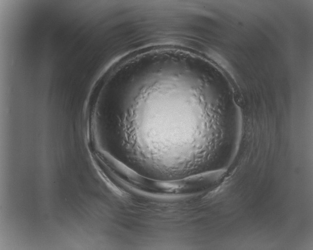 X0000070231127200605261337