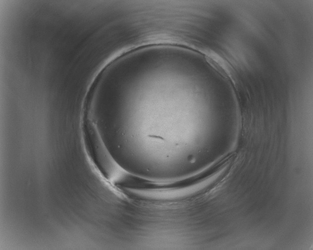 X0000070231142200605261337