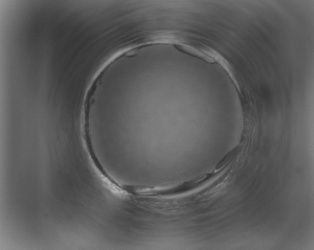 X0000070231147200605261337