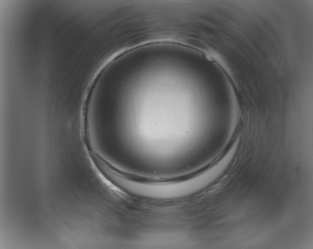 X0000070231151200605261337