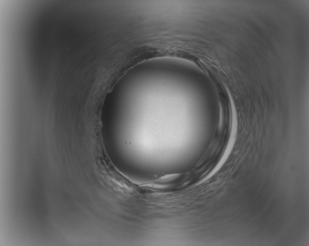 X0000070231153200605261336