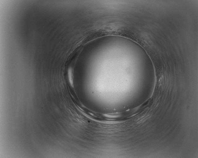 X0000070231156200605261336