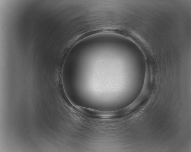 X0000070231169200605261336