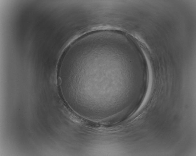 X0000070231173200605261336