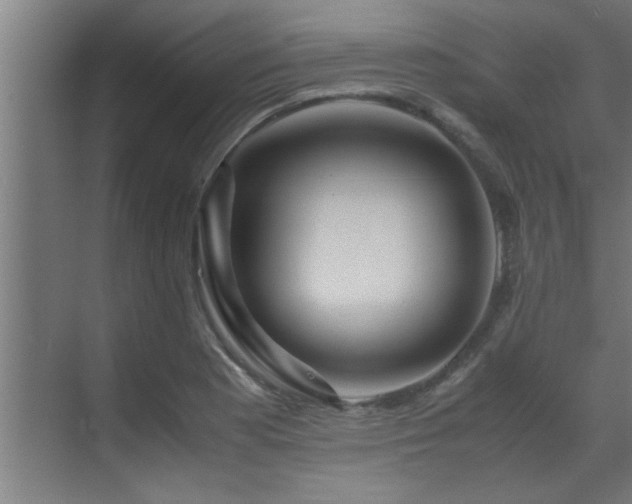 X0000070231177200605261336