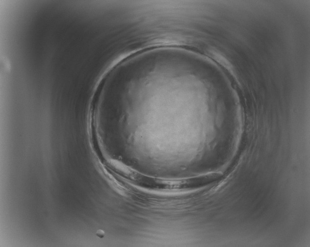 X0000070231179200605261336