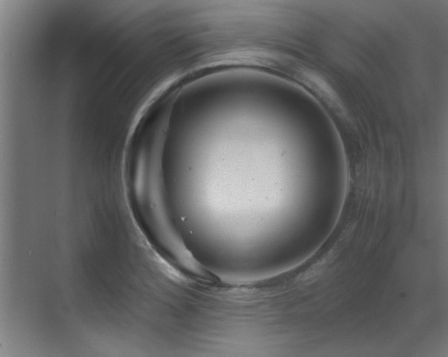 X0000070231180200605261336