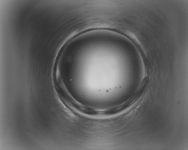 X0000070231181200605261336