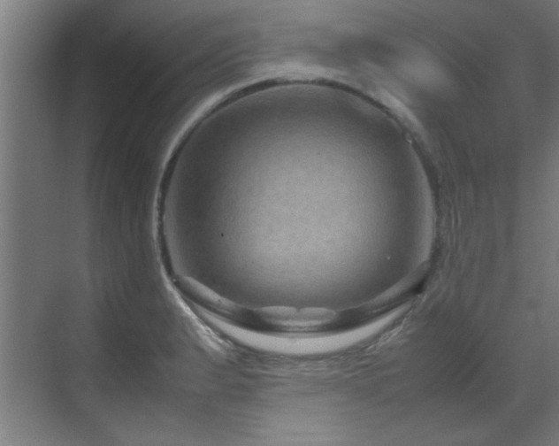 X0000070231183200605261336
