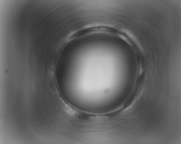 X0000070231185200605261336