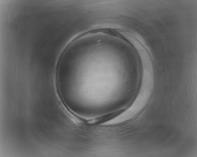 X0000070231187200605261336