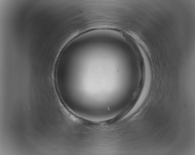 X0000070231189200605261336