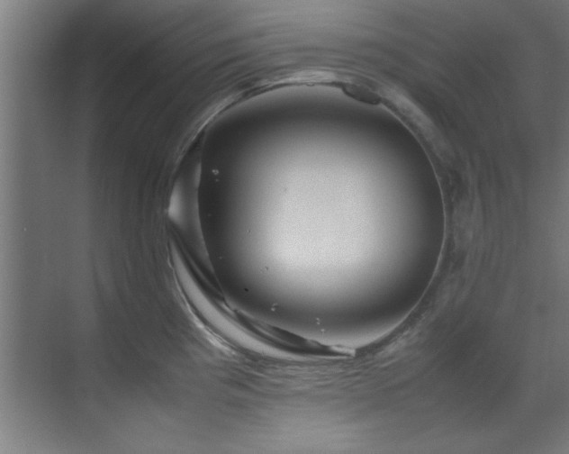 X0000070231193200605261336