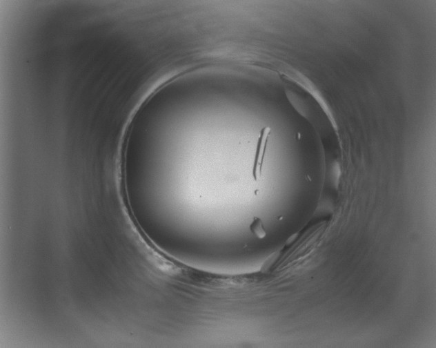 X0000070231195200605261336