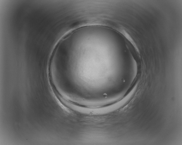 X0000070231197200605261336