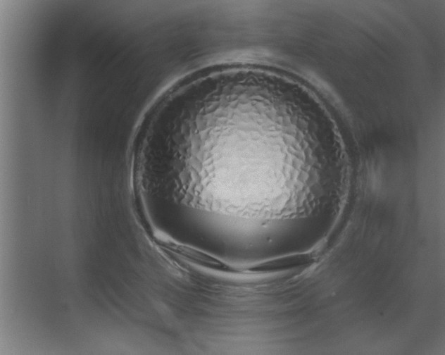 X0000070231224200605261335