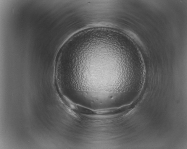 X0000070231228200605261335