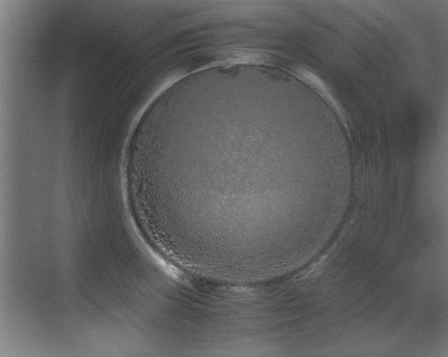 X0000070231235200605261335