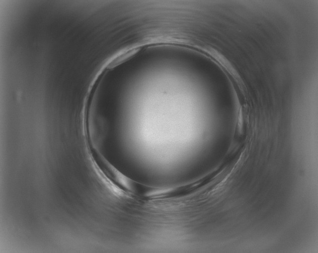 X0000070231246200605261335