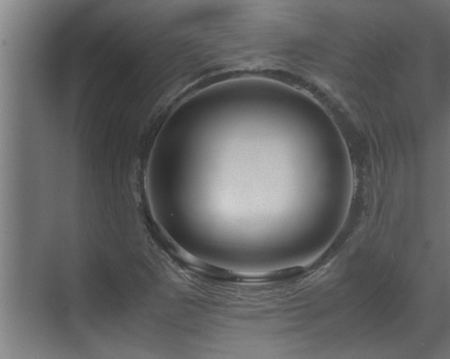 X0000070231265200605261334