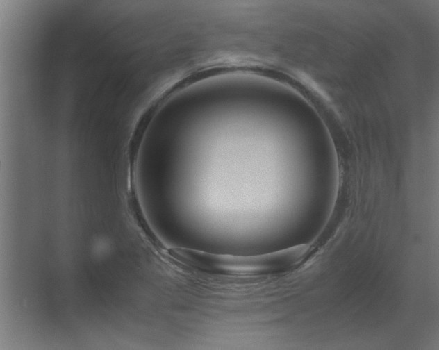 X0000070231269200605261334