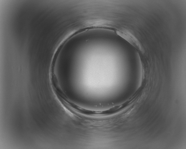 X0000070231285200605261334