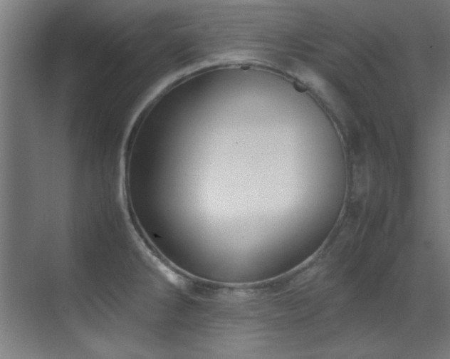 X0000070231286200605261334