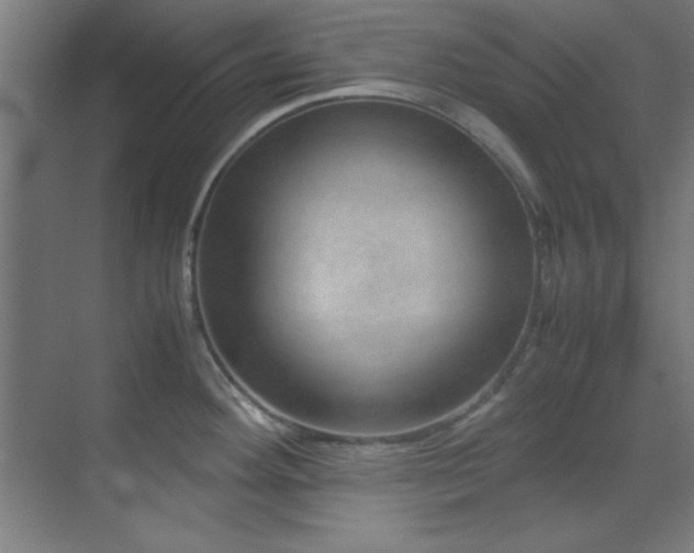 X0000070231292200605261334