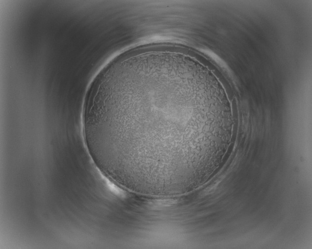 X0000070231294200605261334