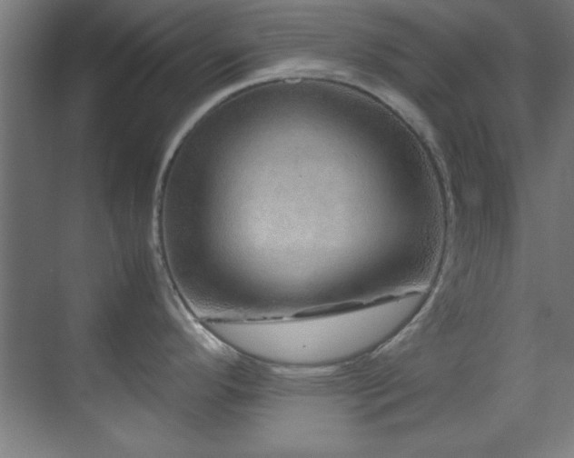 X0000070231296200605261334