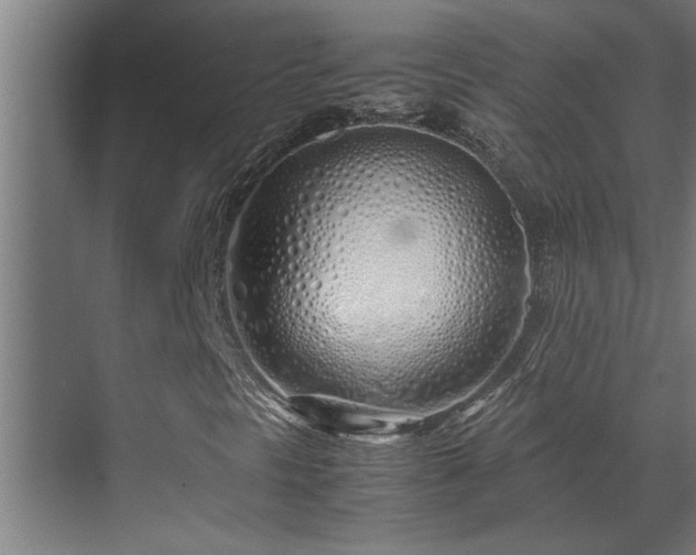 X0000070231297200605261333