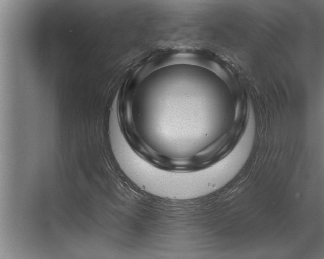 X0000070231300200605261333
