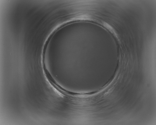 X0000070231334200605261334