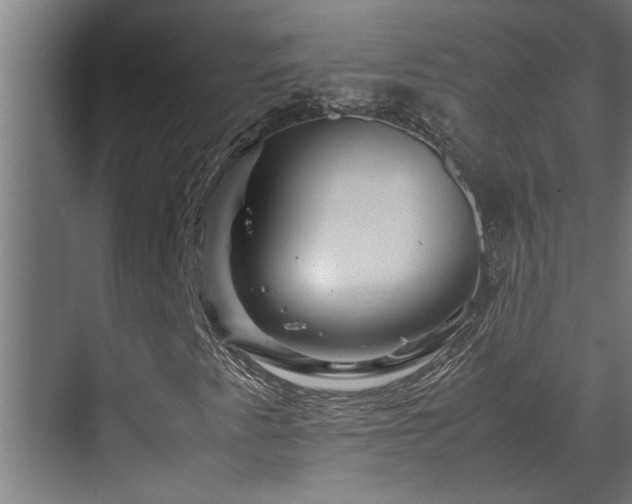 X0000070231345200605261333