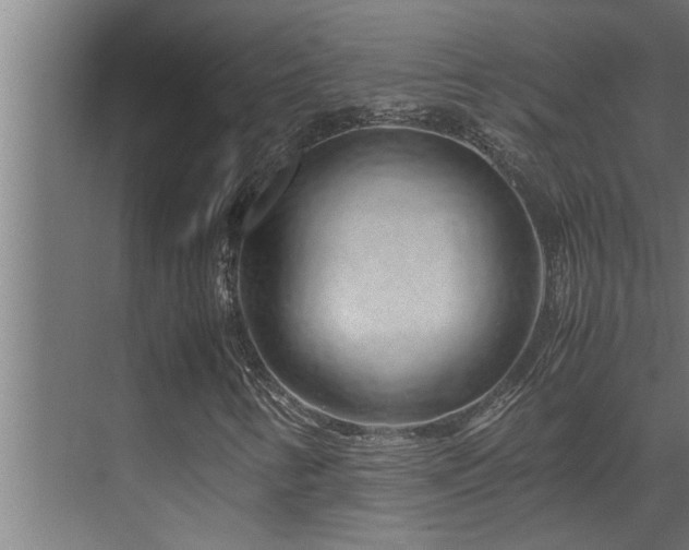 X0000070231346200605261333