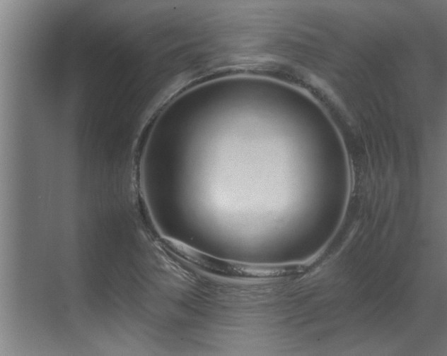 X0000070231362200605261333